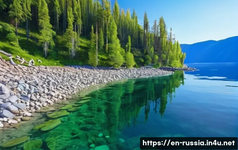 러시아의 주요 강과 호수 관련 이미지 2